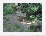 Dierentuin Burgers  Zoo 007 * 3648 x 2736 * (6.24MB)